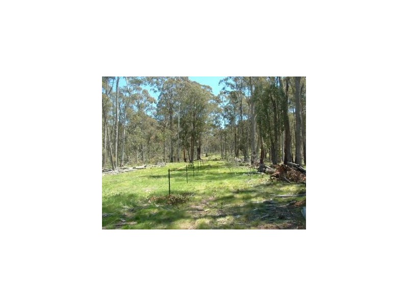 0 Moodys Road, Tumbarumba NSW 2653