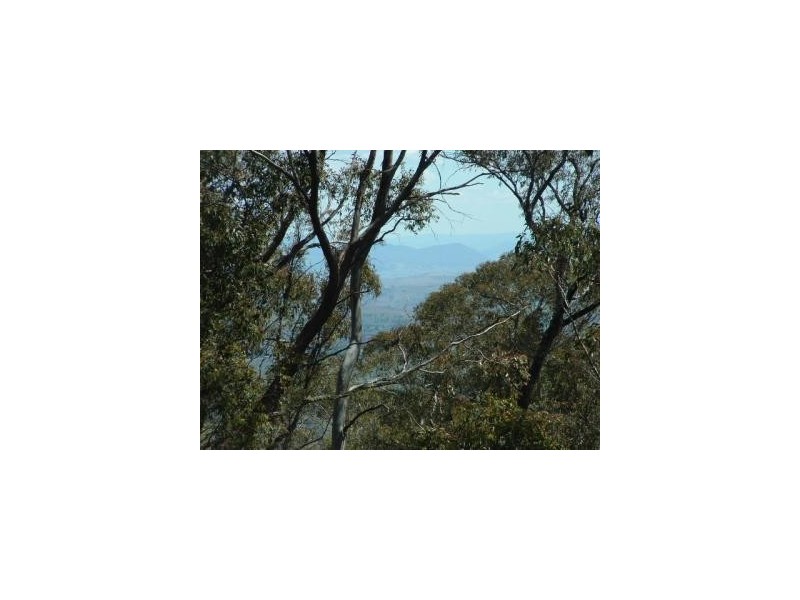 0 Moodys Road, Tumbarumba NSW 2653