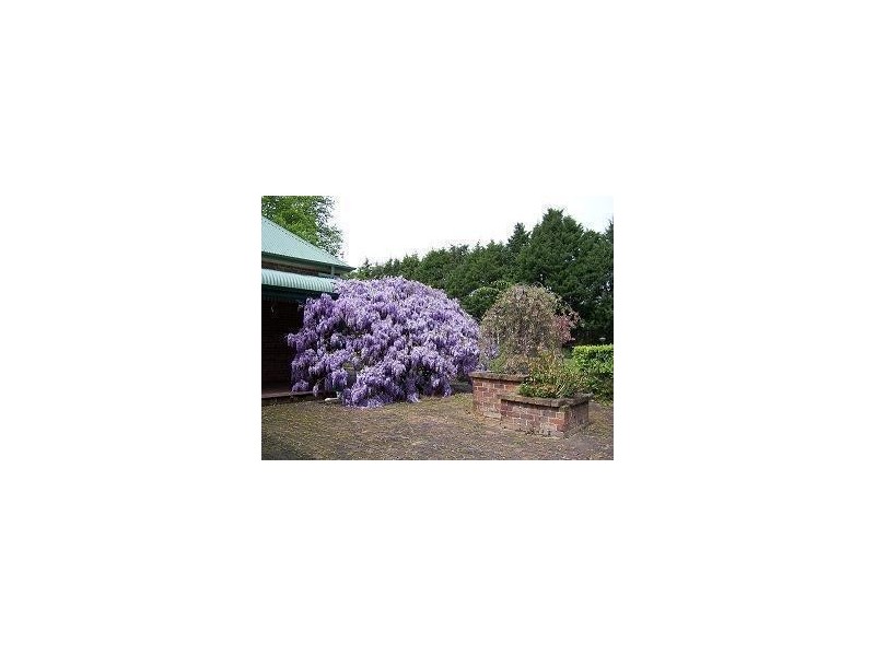 165-167 Argyle Street, Moss Vale NSW 2577