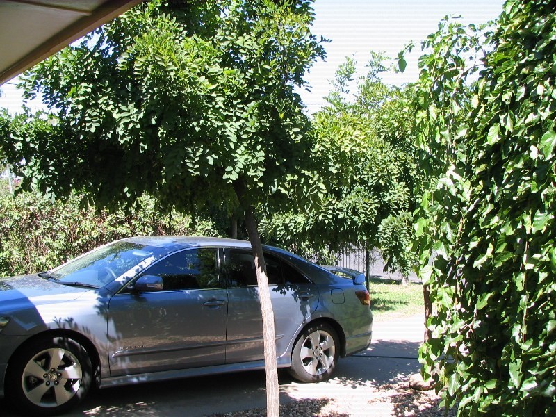 1 Cummins Avenue, Moree NSW 2400