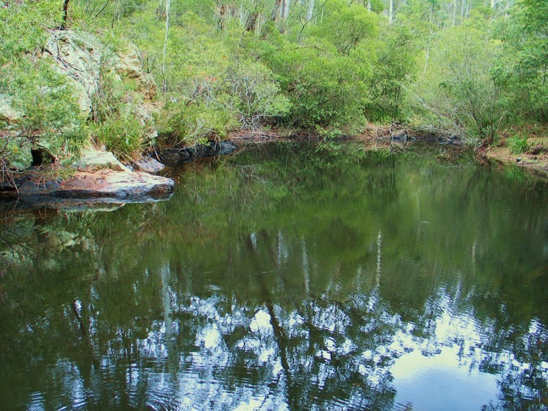 369 Devils Hole Road, Wyndham NSW 2550
