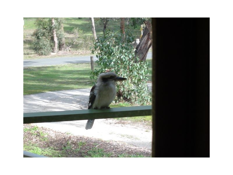 168 Mount Doran Road, Elaine VIC 3334