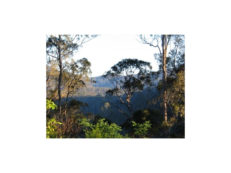 369 Devils Hole Road, Wyndham NSW 2550