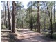 369 Devils Hole Road, Wyndham NSW 2550