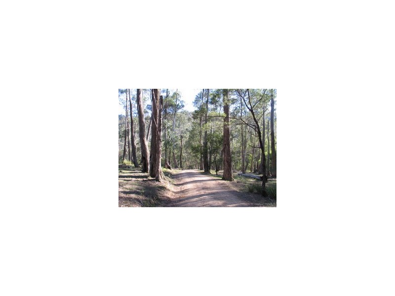 369 Devils Hole Road, Wyndham NSW 2550