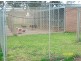 970 Springvale Road, Tatura VIC 3616
