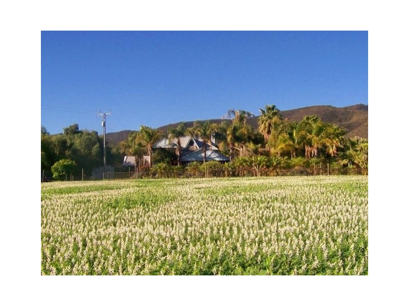 1274 Scenic Drive, Nelshaby SA 5540