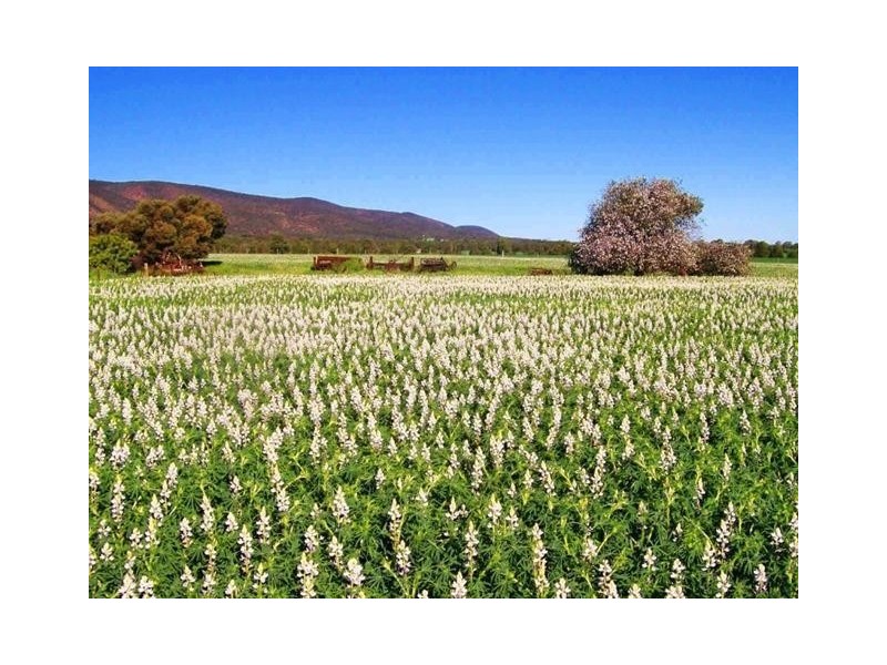 1274 Scenic Drive, Nelshaby SA 5540