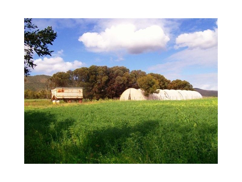 1274 Scenic Drive, Nelshaby SA 5540