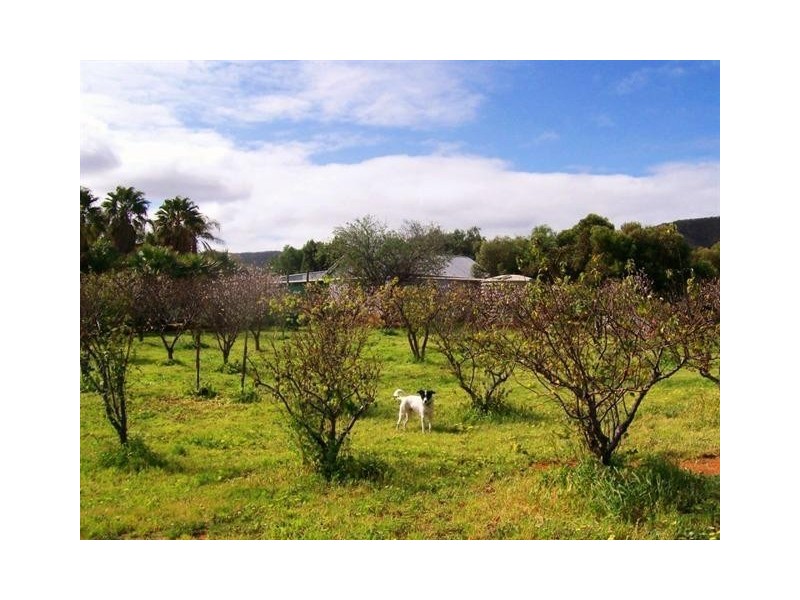 1274 Scenic Drive, Nelshaby SA 5540