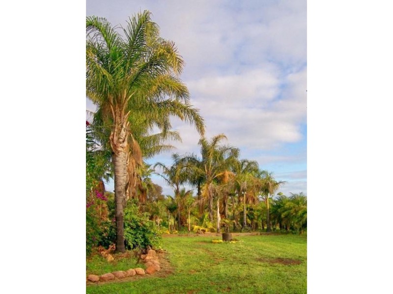 1274 Scenic Drive, Nelshaby SA 5540