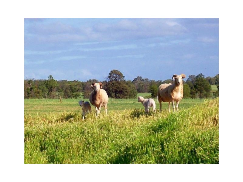 1274 Scenic Drive, Nelshaby SA 5540