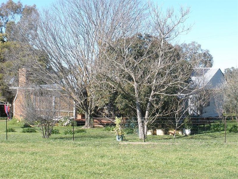 158 Nangar Road, Canowindra NSW 2804