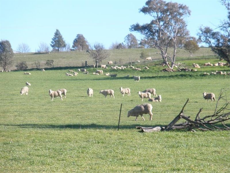 158 Nangar Road, Canowindra NSW 2804