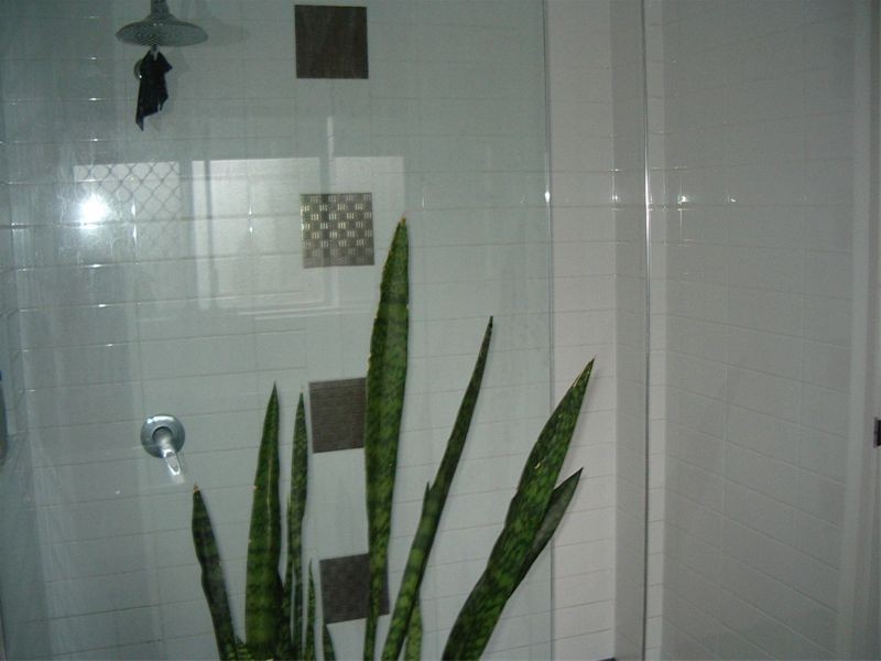 6/40 Miles Street, Clayfield QLD 4011