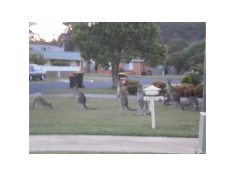 10 Willow Court, Batemans Bay NSW 2536