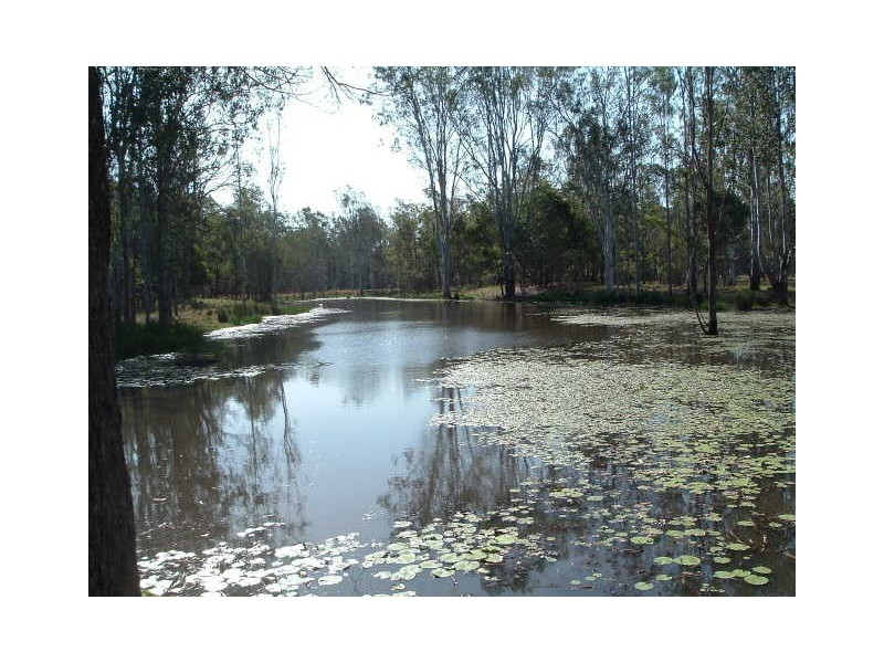2100 Myall Creek Road, Bora Ridge NSW 2471
