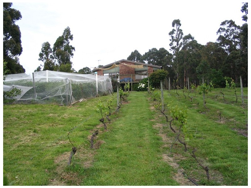 9 Nala Road, Oyster Cove TAS 7150