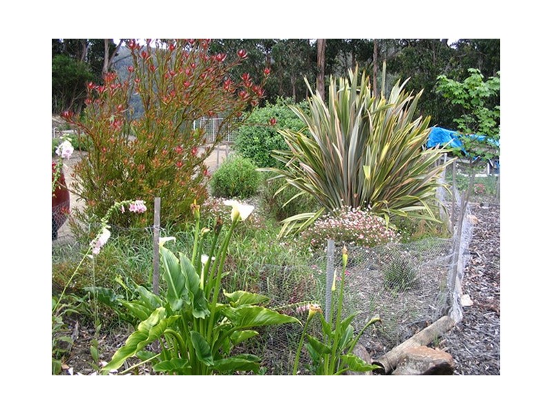 9 Nala Road, Oyster Cove TAS 7150