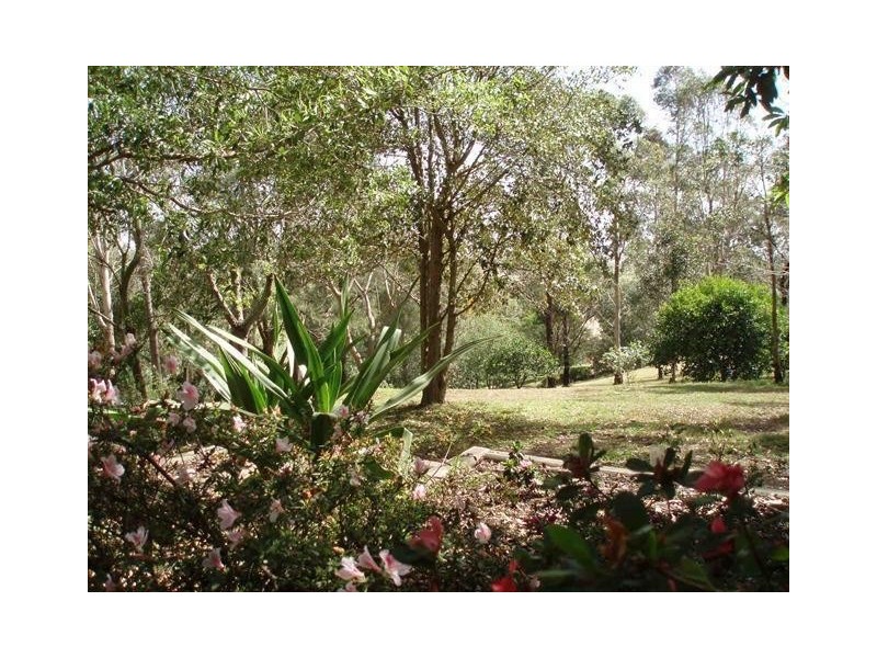 48 Riverview Road, Bolwarra Heights NSW 2320