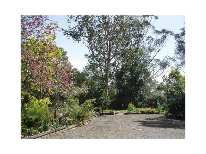 48 Riverview Road, Bolwarra Heights NSW 2320