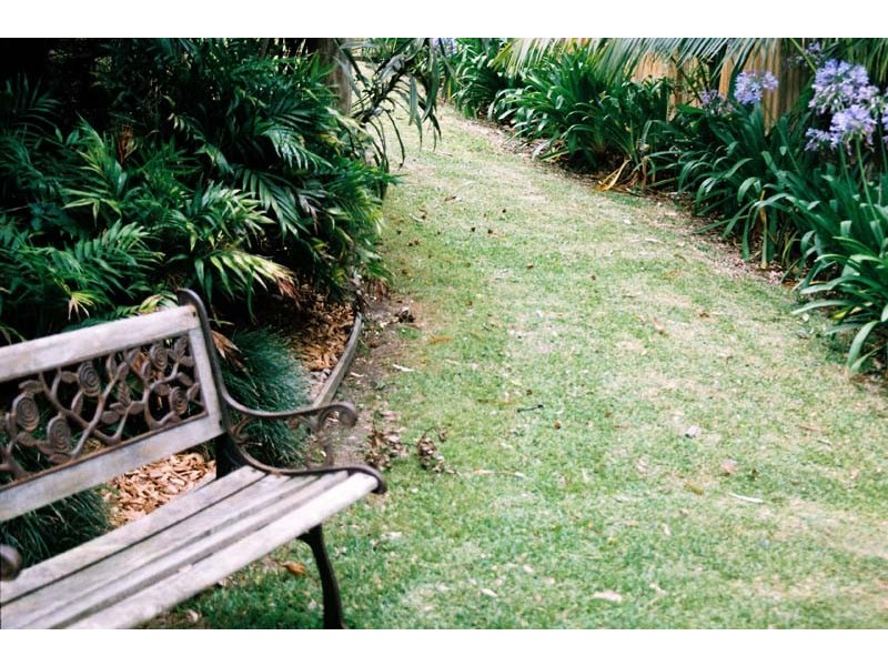 81 Old Gosford Road, Wamberal NSW 2260