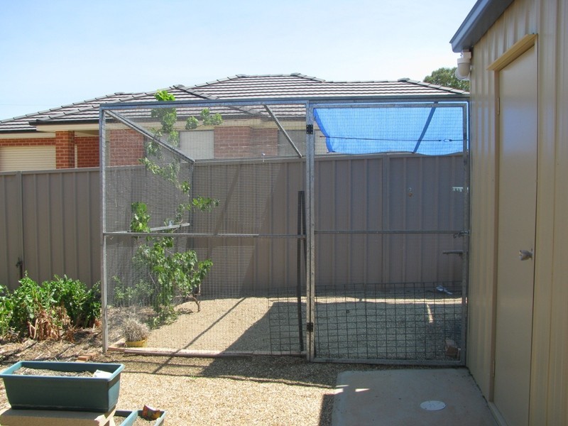 49 Jack Avenue, Wagga Wagga NSW 2650
