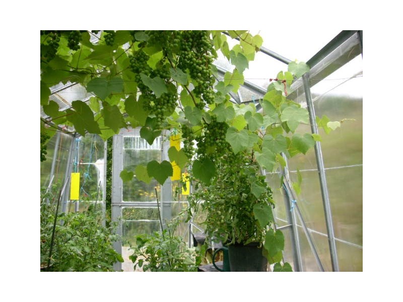 4120 Channel Hwy, Flowerpot TAS 7163