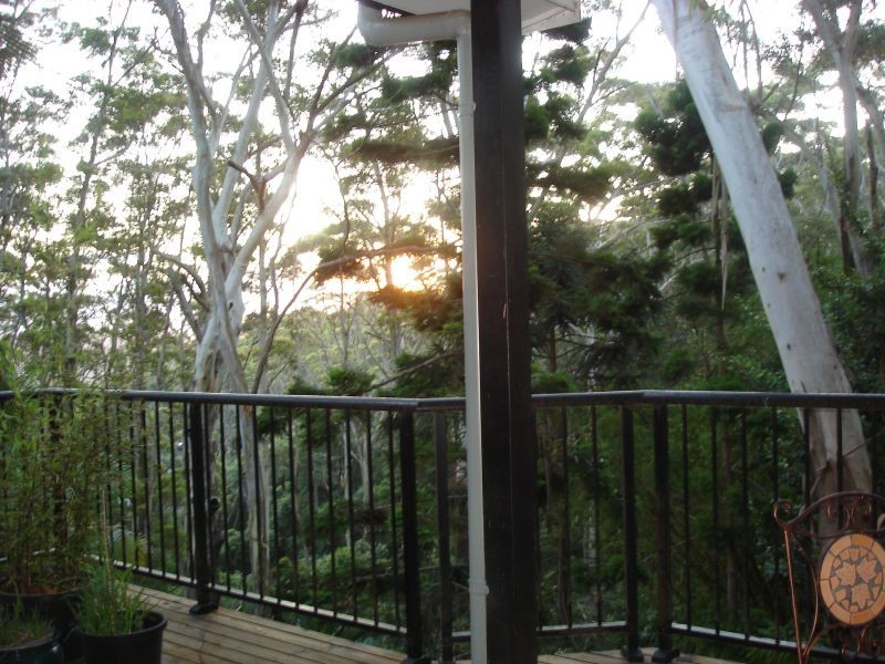 4 Bellevue Cres, North Avoca NSW 2260