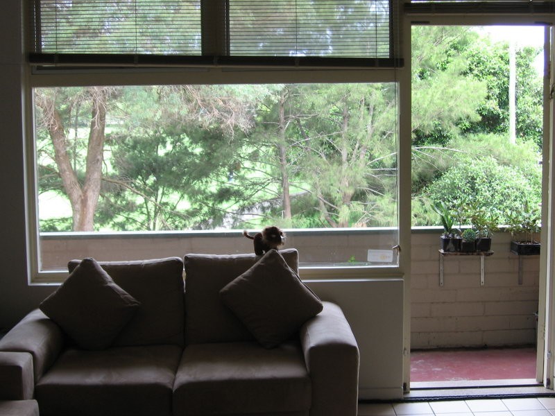 2/2 Campbell Parade, Manly Vale NSW 2093
