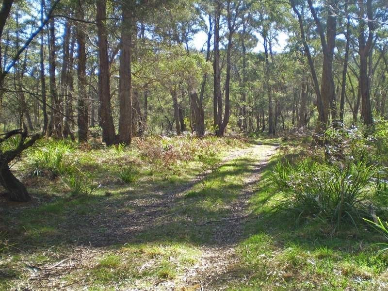 Lot 20 Hume Highway, Paddys River NSW 2577