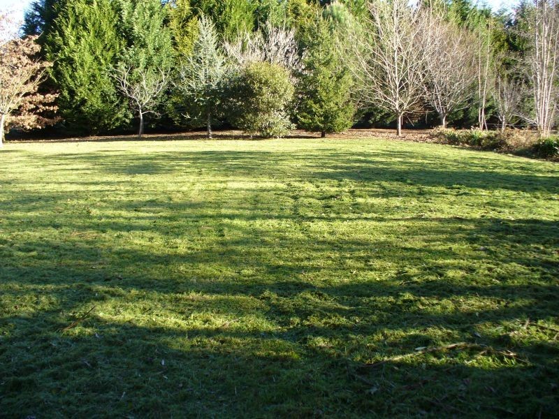 Lot 11 Illawarra Highway, Burrawang NSW 2577