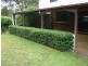 52 Railway Terrace, Willow Vale NSW 2575