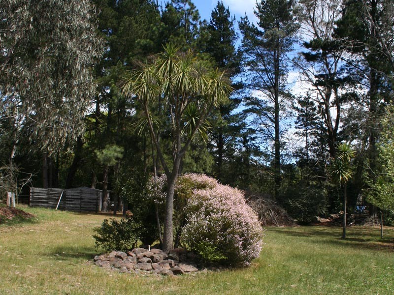 3 Campbell Ave, Burradoo NSW 2576