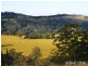 183 Ringwood Road, Exeter NSW 2579
