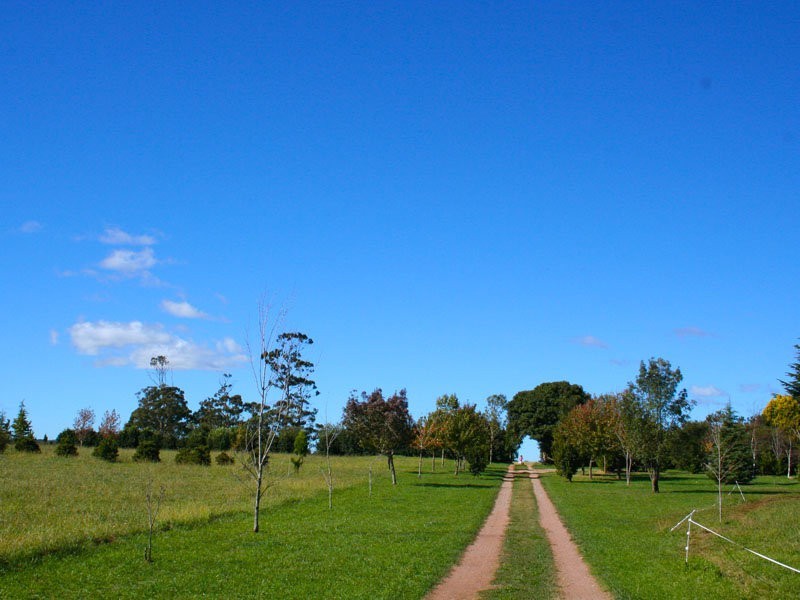 183 Ringwood Road, Exeter NSW 2579