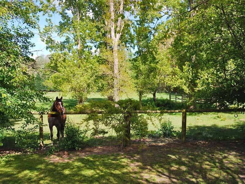 58-68 Yean Street, Burradoo NSW 2576