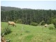 Robertson NSW 2577