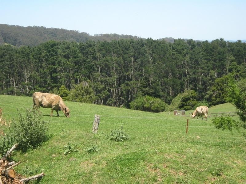 Robertson NSW 2577