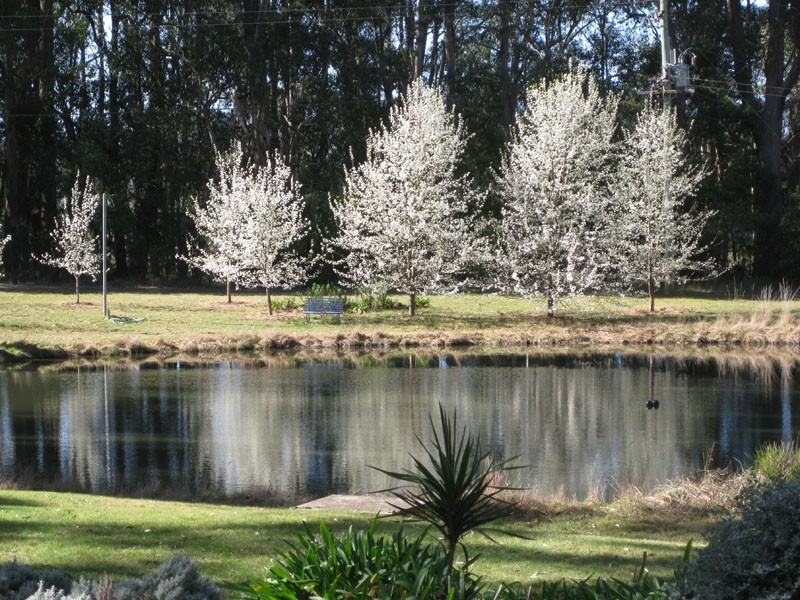 82 Clearys Lane, Wildes Meadow NSW 2577