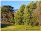 36  Rose Street, Bowral NSW 2576