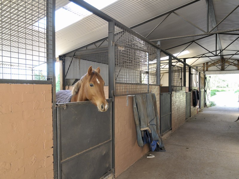 290 Oxleys Hill Road, Bowral NSW 2576