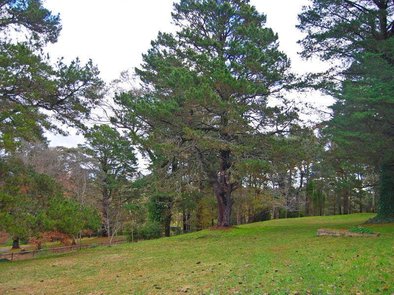 550 Moss Vale Road, Burradoo NSW 2576