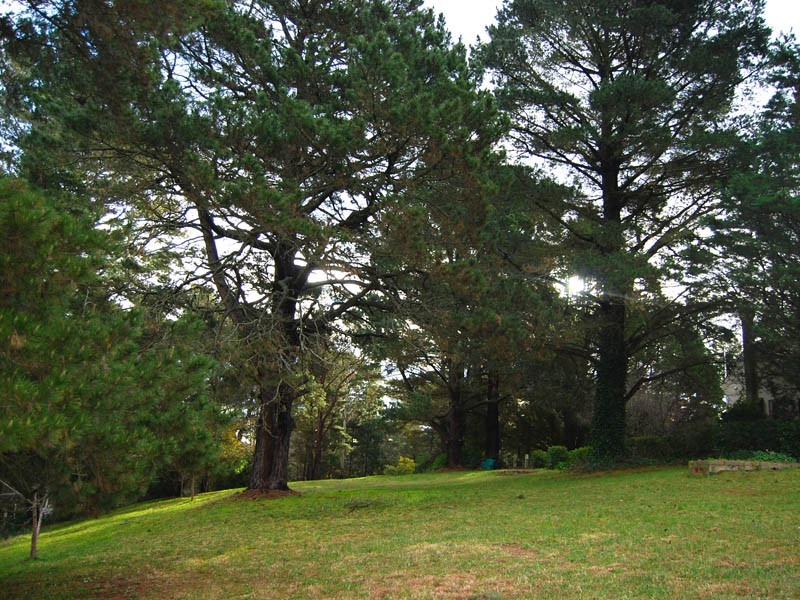 550 Moss Vale Road, Burradoo NSW 2576