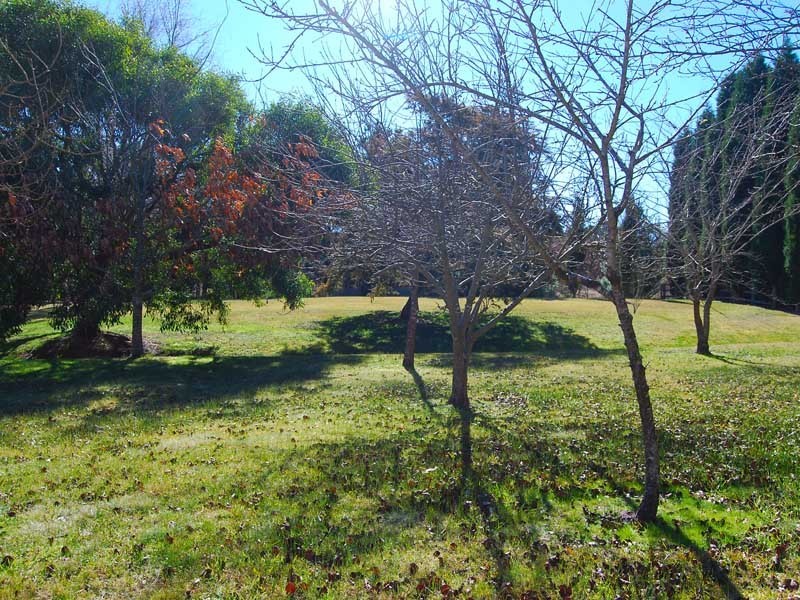 48 Hurlingham Avenue, Burradoo NSW 2576