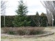 4 Alder Place, Bowral NSW 2576