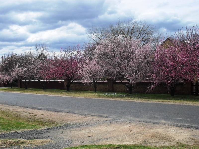 10 Brisbane Street, New Berrima NSW 2577