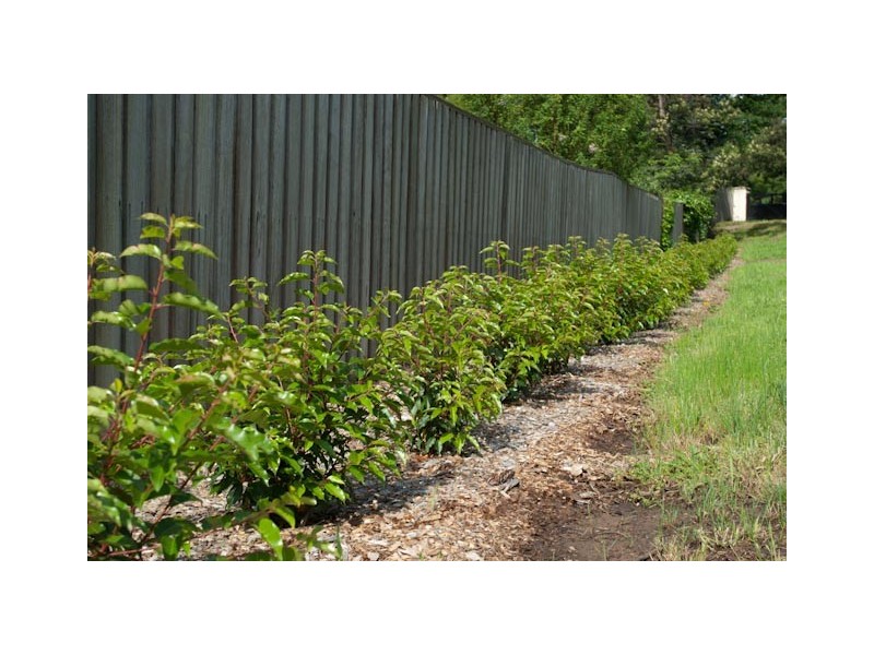 87 Bendooley Street, Bowral NSW 2576