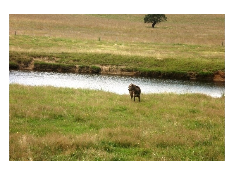 12940 Illawarra Highway, Sutton Forest NSW 2577