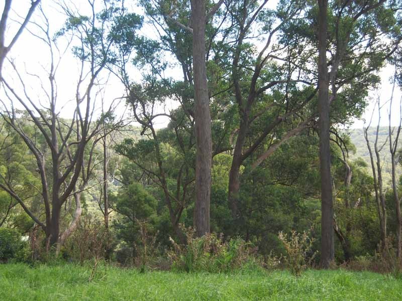 2/22 Tulloona Avenue, Bowral NSW 2576